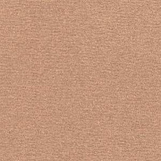 Ковролин Radici Nexus Pesca 8241 фото 1 | FLOORDEALER